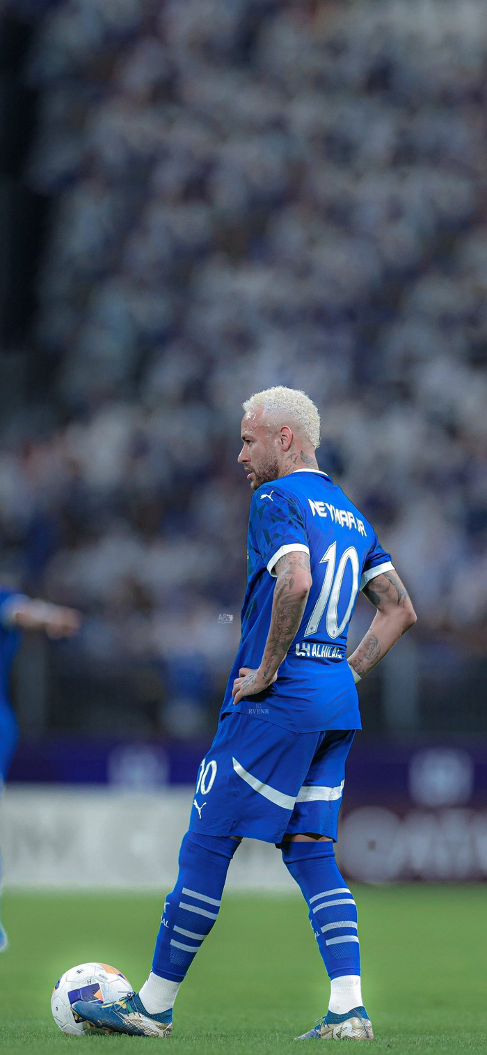 获得了赞誉 获得了赞誉