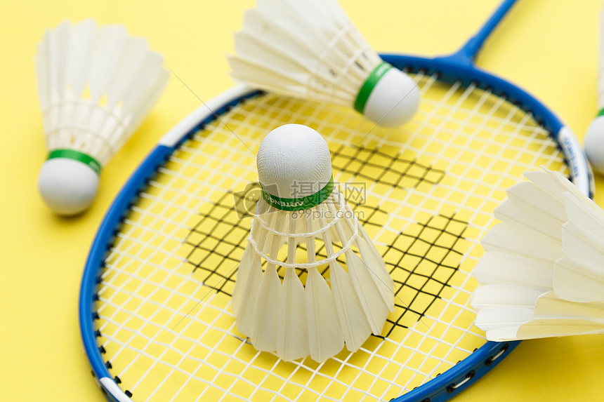 仅是队友 仅是队友